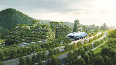 Photo of Liuzhou Forest City أول مدينة بيئية في العالم مهندسها الايطالي