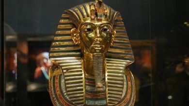 Photo of مصر وفرنسا تستعيدان 114 قطعة أثرية مهربة