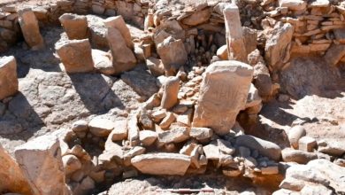 Photo of اكتشاف أثري عمره 9000 سنة في صحراء الأردن