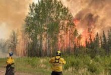 Photo of هطول الأمطار يبعث الأمل بالسيطرة على الحرائق المستعرة في غرب كندا