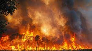 Photo of اليونان: فرق الإطفاء تكافح لإخماد «أكبر حريق غابات على الإطلاق» في الاتحاد الأوروبي
