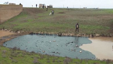 Photo of تسرّب للنفط يلوّث مئات الهكتارات الزراعية في شمال العراق
