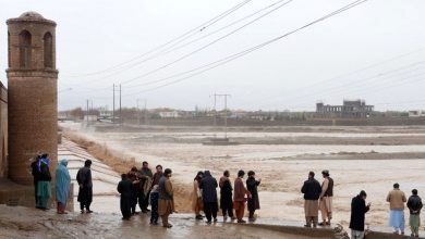Photo of عودة الهدوء إلى الحدود بين أفغانستان وباكستان