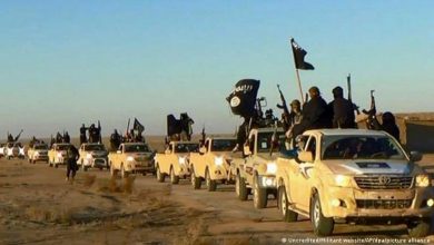 Photo of مقتل 11 من جامعي الكمأة في هجوم لتنظيم الدولة الإسلامية في سوريا