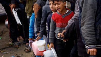 Photo of ساترفيلد: خطر المجاعة «مرتفع للغاية» في غزة خاصة في الشمال