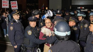 Photo of تصاعد الاحتجاجات الجامعية في الولايات المتحدة واعتقال 133 شخصاً في جامعة نيويورك